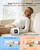 DEJUNPIOOL Hand Massager with Heat and Compression, Cooling Fan