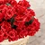 Karlliu Artificial Geranium Flowers for Outdoors: 6 PCS Realistic UV Resistant Faux Red Geranium Silk Flowers for Outdoor Planters Fade Proof Garden Fake Flowers Decor for Outside Porch - Red