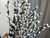 Dried Pussywillow Preserved Branches, 20 Stems, 27.5IN