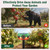 ChunHee Outdoor Motion Sensor Alarm Barking Dog Alarm 360°Detection