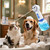 Electric Dog Shampoo Dispenser, Rich Foam, Panda Design (2 Charging Cables)