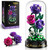 HiWEEGO 3.6MM Flowers Building Set with LED Light & Cover for Women Girls