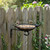 Belanttega Metal Tray Bird Feeder, Heavy Duty Mesh Seed Tray for Wild Bird