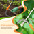 Haipeiyl High-Branch Weeding Sickle, Stainless Steel Long-Handled Lightweight Sickle, Sharp Straight Blade Surface Sickle, Extended Upright Scythe, for Garden Yard and Small Branch high Above Pruning