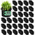 WHATWEARS 48 Pack 5 Gallon Plant Grow Bags, Thickened Nonwoven Fabric Pots with Handles, Vegetable Planter Bags Containers, Cloth Planters for Garden Vegetable/Flower/Plant/Fruits Outdoor (Black)