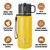 Icesip Stainless Steel Insulated Bottle, 20oz with cup Vacuum Insulated Water Bottle, Thermo for Hot Drinks/Cold Drinks,24-Hr Insulation Commute, Travel