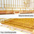 Piivos 30 Inch Dog Crates for Small Dogs, Copper Gold Wire Cage Kennel