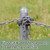 Yaocom 20 Pcs 2-3/8" Chain Link Fence Post Caps, Aluminum Post Cap, Silver