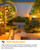 EvaStary Dusk to Dawn LED Yellow Bug Light Bulb Outdoor, 6W(40W Equivalent)