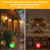 EvaStary Dusk to Dawn LED Yellow Bug Light Bulb Outdoor, 6W(40W Equivalent)