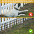 25 Pack Garden Animal Barrier Fence, 17in (H) X 27ft (L) No Dig Fence, Rustproof Metal Garden Fencing Bordere, Decorative Fencing Panel for Dog Rabbits Ground Stakes Defense and Outdoor Patio