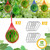12Pcs Melon Hammocks Cradles, Melon Hammock Mesh Bags for Trellis