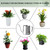 Doseno Small Watering Can for Indoor Plants, Plant Watering Can, 12 oz