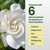 Gardenia Fertilizer for Vibrant Growth & Fragrant, Beautiful Blooms, 32oz
