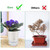 ShineMe Self Watering Pots, 5 Pack Self Watering Planters for Indoor Plants, 4.1 inch Plastic Plant and Flower Pots for African Violets, Herbs, Aloe, Peace Lily with Absorbent Cotton Rope