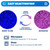 Dry & Dry [16 LBS] Blue Indicating Silica Gel Beads Desiccants (Industry Standard 3-5 mm) - Reusable Desiccant Beads Silica Beads(Blue to Pink) Moisture Absorbers