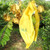 HouWanA Fruit Protection Bags 100pcs Cover Bags 9X11.8inch, for Fruit Trees, Orchard, Trees, Frost, Plants There are Windows to See Inside