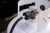 Champion 12-Foot Propane Hose Extension Kit for Champion Generators