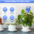 Dr.meter Soil Moisture Meter for Plants, Plant Water Gauge Test Kit