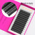 XIUSUZAKI W Lash Extensions Supplies 10D Eyelash Extensions W Shape 0.07mm Thickness D Curl 11mm Premade Fans Easy Fan Lashes Volume Matte Black 12 Rows Crisscross Eye Lashes(W-10D-0.07-D,11mm)