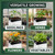 Grow1 15 Gallon Square Grow Bags (10 Pack) Black and White Poly Bags for Plants, Perfect for Plant Nursery Bags, Tree Grow Bags & Greenhouse Grow Bags, 15 Gal Pots for Plants