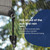 IVYSUN Sun Shade Tie Downs Replacement Parts,Bungee Tie Downs