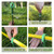 3/4” Garden Hose Guide Holder to Keep Hose Off Lawn, Outdoor Garden Hose Support Spike for Hose Off the Lawn Ground Yard Watering Equipment(6pk)