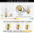G40 Replacement Bulbs Outdoor 120V 5W Clear Light Bulbs E12 Base Dimmable