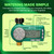 Rain Bird 1ZEHTMRP Professional Irrigation Controller, Green