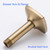 SWHYGER 4 Inches Stainless Steel, Straight Shower Arm Extension, Ceiling Shower Head Arm(Brushed Gold),SW-91038-4BG.