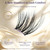 GlowVane TrueCurve Lash Clusters, Wispy Curved Band Eyelash 14mm, Winkie
