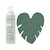 EcoTools Brush Cleaner Mat + Deep Clean Shampoo Bundle, 2 Piece Set