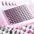 Manga Lash Clusters Natural Look Wispy Lashes Clusters Anime D-Curly Cluster Eyelash Extensions 110 Pcs 8-16MM Fairy Individual Cluster Lashes Wet-Look Lash Extensions