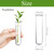 XXXFLOWER Glass Propagation Stations Accessories 4 Tube Vases