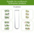 XXXFLOWER Glass Propagation Stations Accessories 4 Tube Vases