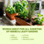 Herb Plant Food – Liquid Fertilizer for All Edible Herbs, 8 oz