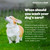 Ear Wash for Dogs by Project Watson, Gentle pH Balanced Formula to Help Support Ear Health & Hygiene, Contains Aloe Leaf Juice, Glycerin & Propylene Glycol, Hydrogen Peroxide & Fragrance Free, 4 Fl Oz