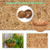 Riare 4 Pack 10 Inch Coco Liners for Planters, Round Hanging Baskets Liners