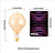 SD LUX A165 Oversized LED Edison Light Bulb Dimmable 5W 250lm E26 2200K 1PC