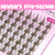 VEYESBEAUTY Manga Brown Lash Clusters Individual Eyelash Extensions 14mm
