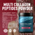 Zeal Naturals Multi Collagen Protein Peptides Powder Types I II III V X - Vitamin C, Biotin & Hyaluronic Acid - Hair, Skin & Nails - Marine, Bovine, Chicken & Eggshell - Strawberry, 45 Servings