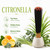 Citronella Exotic Incense Sticks 7 Inch - Bulk 1 Bundle 85 to 100 Sticks - Natural 7" Long Lasting Aroma that Burns for 30 to 45 Minutes.