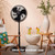HOLMES 16" Outdoor Misting Stand Fan, Hose Connection, 3 Speeds, 3 Micro-Mist Levels, 80° Oscillation, Adjustable Height, 25° Head Tilt, GFCI Plug, Black