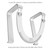 Twelve South Curve SE, Ergonomic Aluminum Laptop and MacBook Stand, Silver