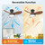 ocioc 32 Inch small Walnut Ceiling Fans with Lights and Remote Control