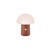 Gingko 7 Colour Changing RGB Alice Mushroom Lamp, Mood Light and Night Lights, Long Life Battery, USB-C Charging, 3 Light Modes, FSC Certified Wood with Frosted ABS Shade (Walnut, Super Mini)