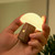 Gingko 7 Colour Changing RGB Alice Mushroom Lamp, Mood Light and Night Lights, Long Life Battery, USB-C Charging, 3 Light Modes, FSC Certified Wood with Frosted ABS Shade (Walnut, Super Mini)