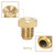 Lot 20 M6x1mm Flush Low Profile Zerk Grease Fittings Plug Flat Hex Head Thread Mount Metric Male Straight Nipple Machine Tool Accessory Greasing