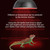 APlayfulBee G9 Reptile Heat Lamp Bulbs Mini Reptile Light 12Pcs, G9 Halogen Bulbs Dimmable Night Red for Reptiles and Amphibian Tanks Bearded Dragon Turtle Lizard (50, Watts)