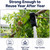 Tree Branch Support Pole & Crutch – Protect Limbs from Breaking (1-Pack)